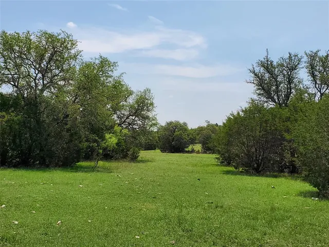 a view of a grassy field with trees in the background