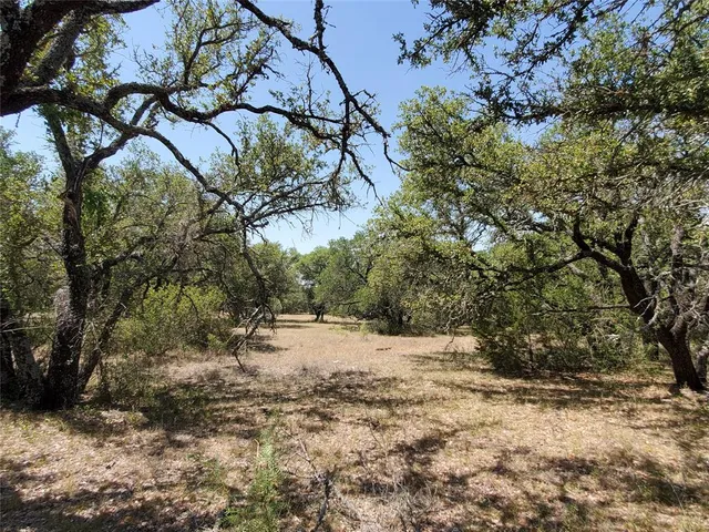 a view of dirt yard with a tree