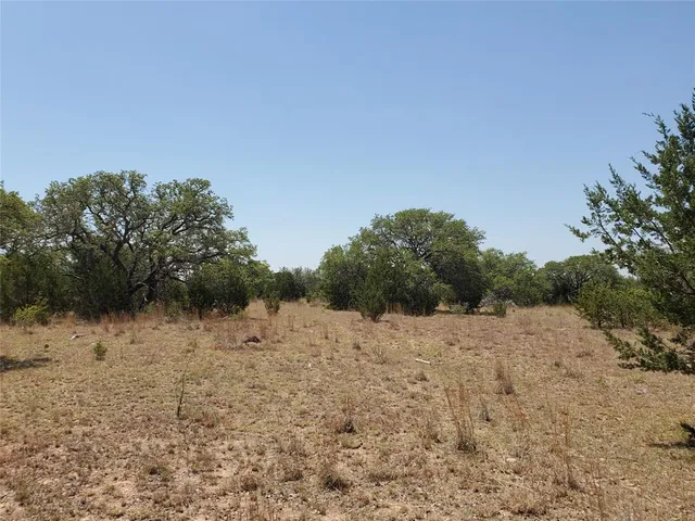 a view of a dry yard with trees in the background