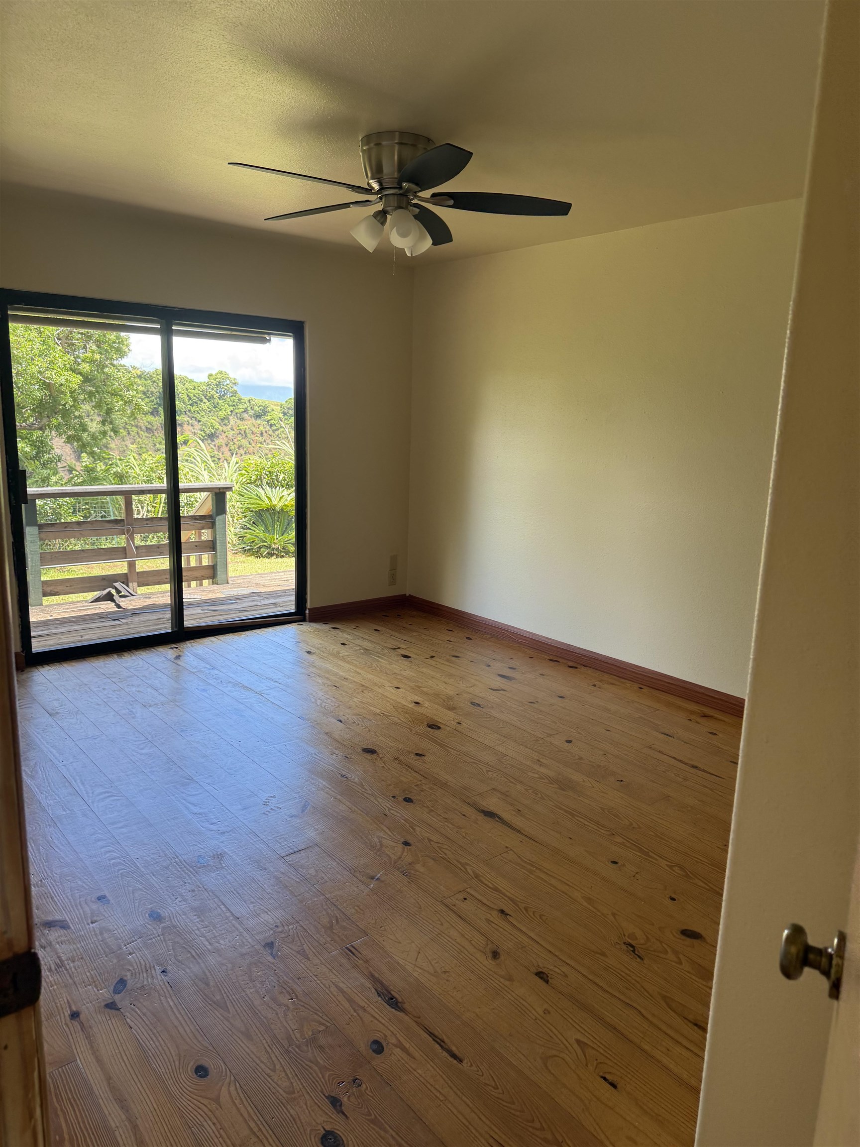 1490 Kokomo Road Haiku, HI 96708 - Photo 5 of 19