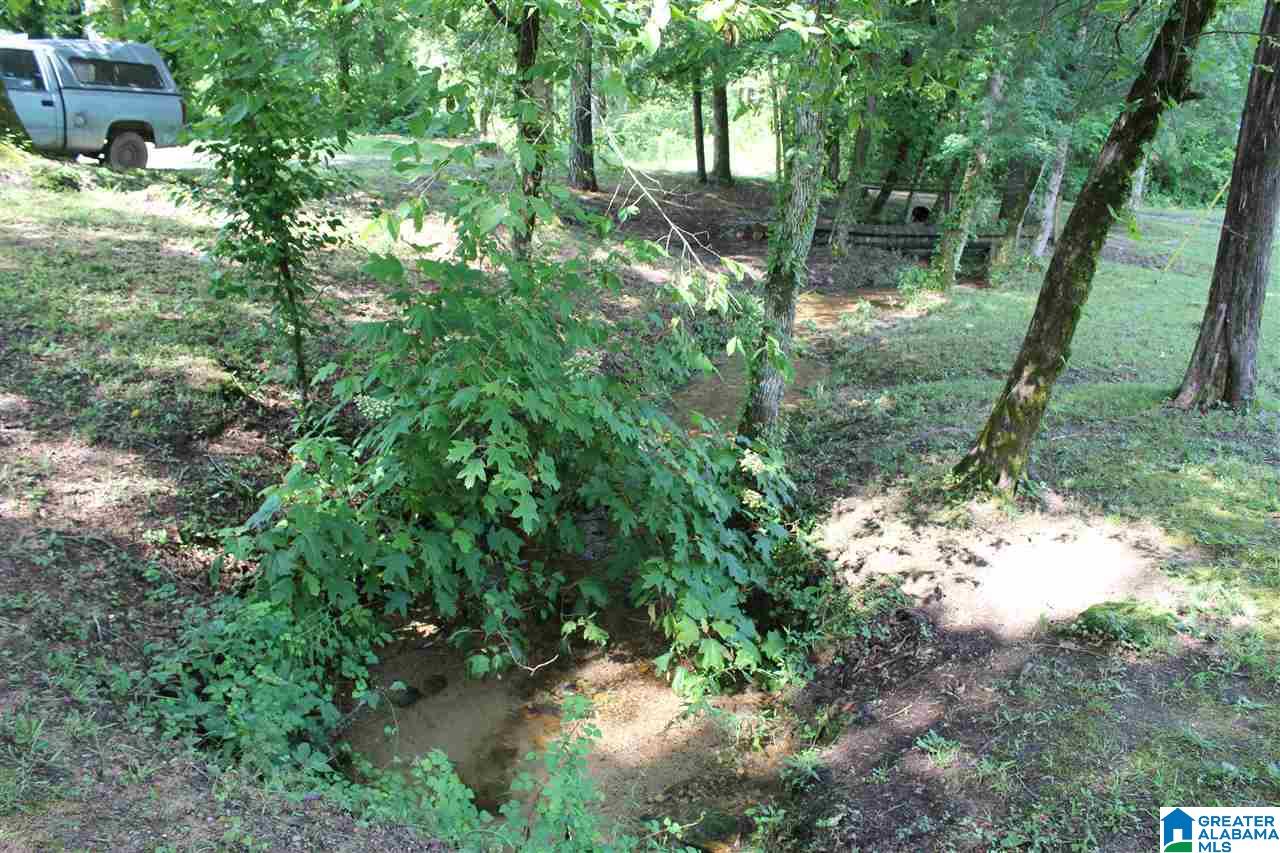 2727 Marvel Road Brierfield, AL 35035 - Photo 14 of 22