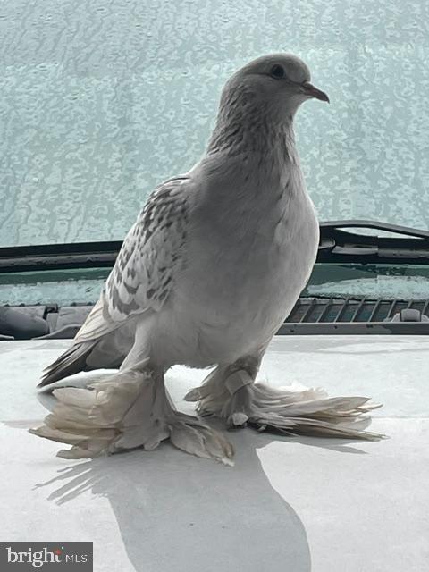 76 Zehner Road Landingville, PA 17972 - Photo 21 of 28 a close view of tap