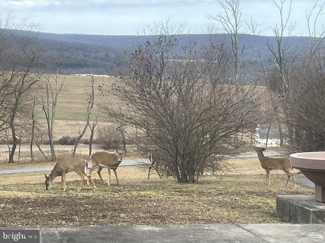 76 Zehner Road Landingville, PA 17972 - Photo 22 of 28 a view of outdoor space