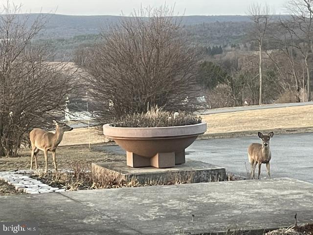 76 Zehner Road Landingville, PA 17972 - Photo 23 of 28 a view of a yard with an outdoor seating