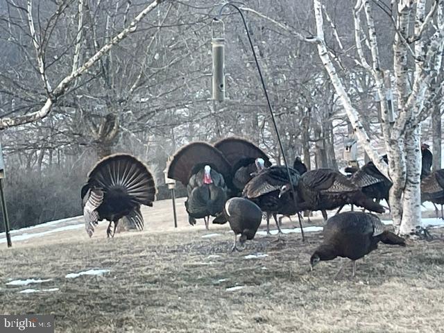 76 Zehner Road Landingville, PA 17972 - Photo 24 of 28