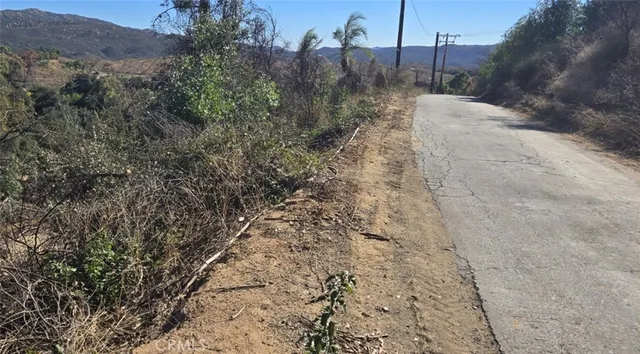 a view of a dry yard with trees in the background