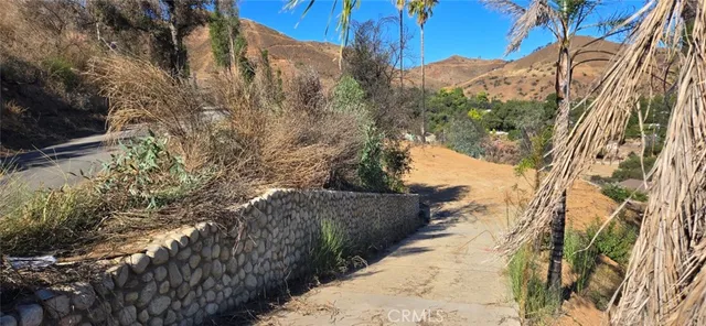 a view of a yard with plants and trees