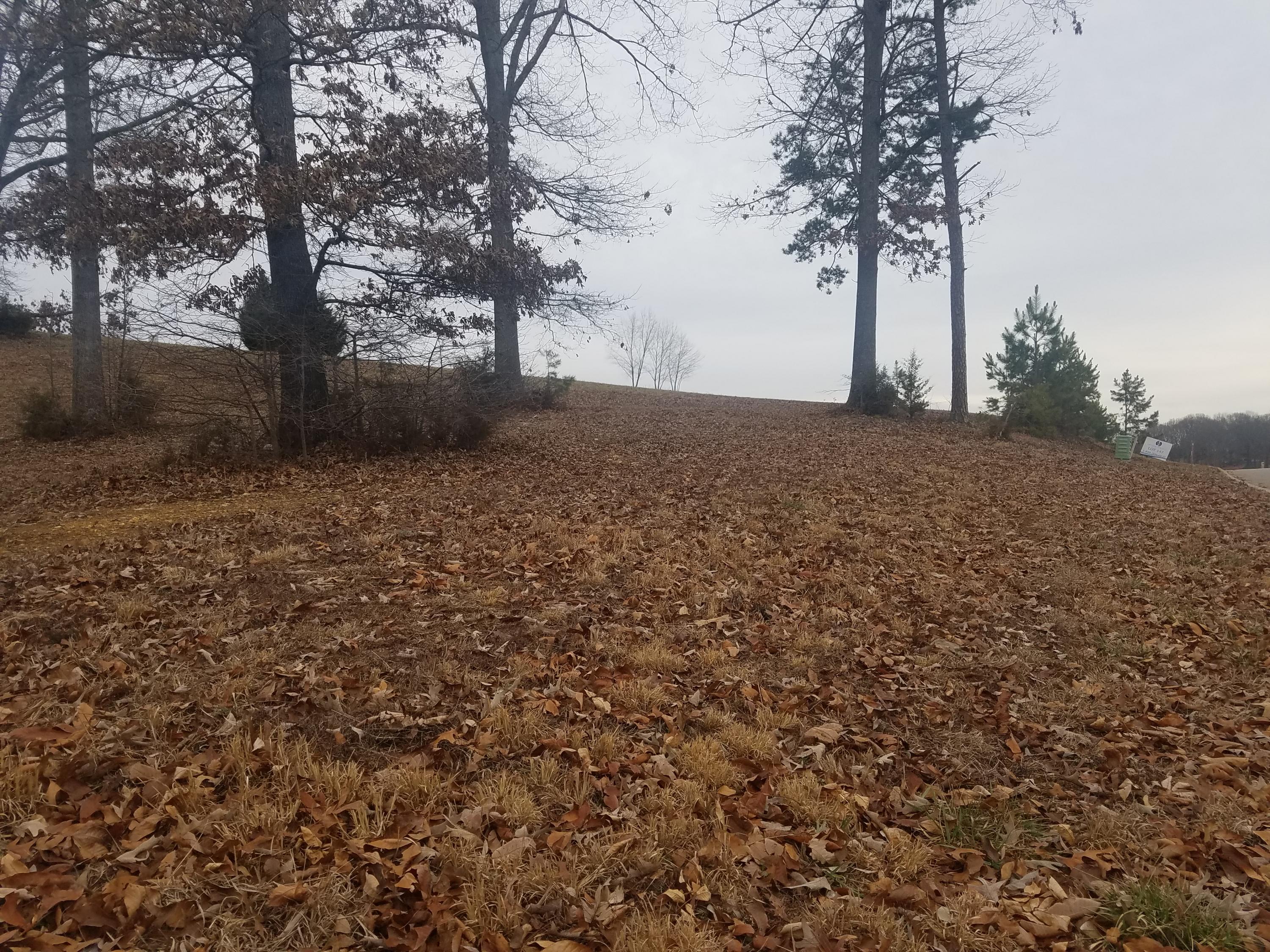 Lot 147 Cowpoke Lane Rutledge, TN 37861 - Photo 14 of 29 14