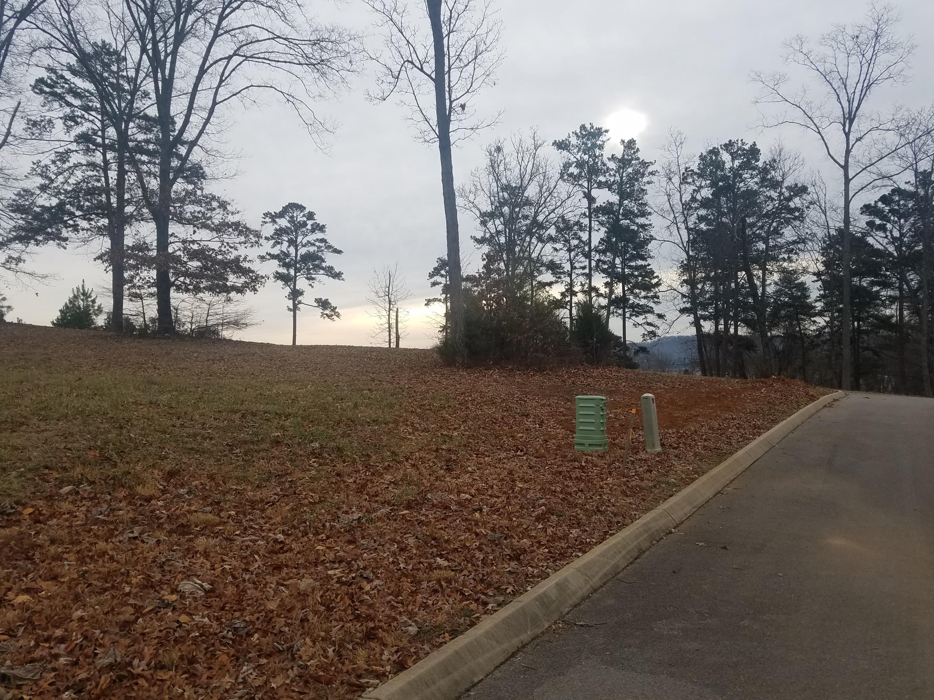 Lot 147 Cowpoke Lane Rutledge, TN 37861 - Photo 3 of 29 3