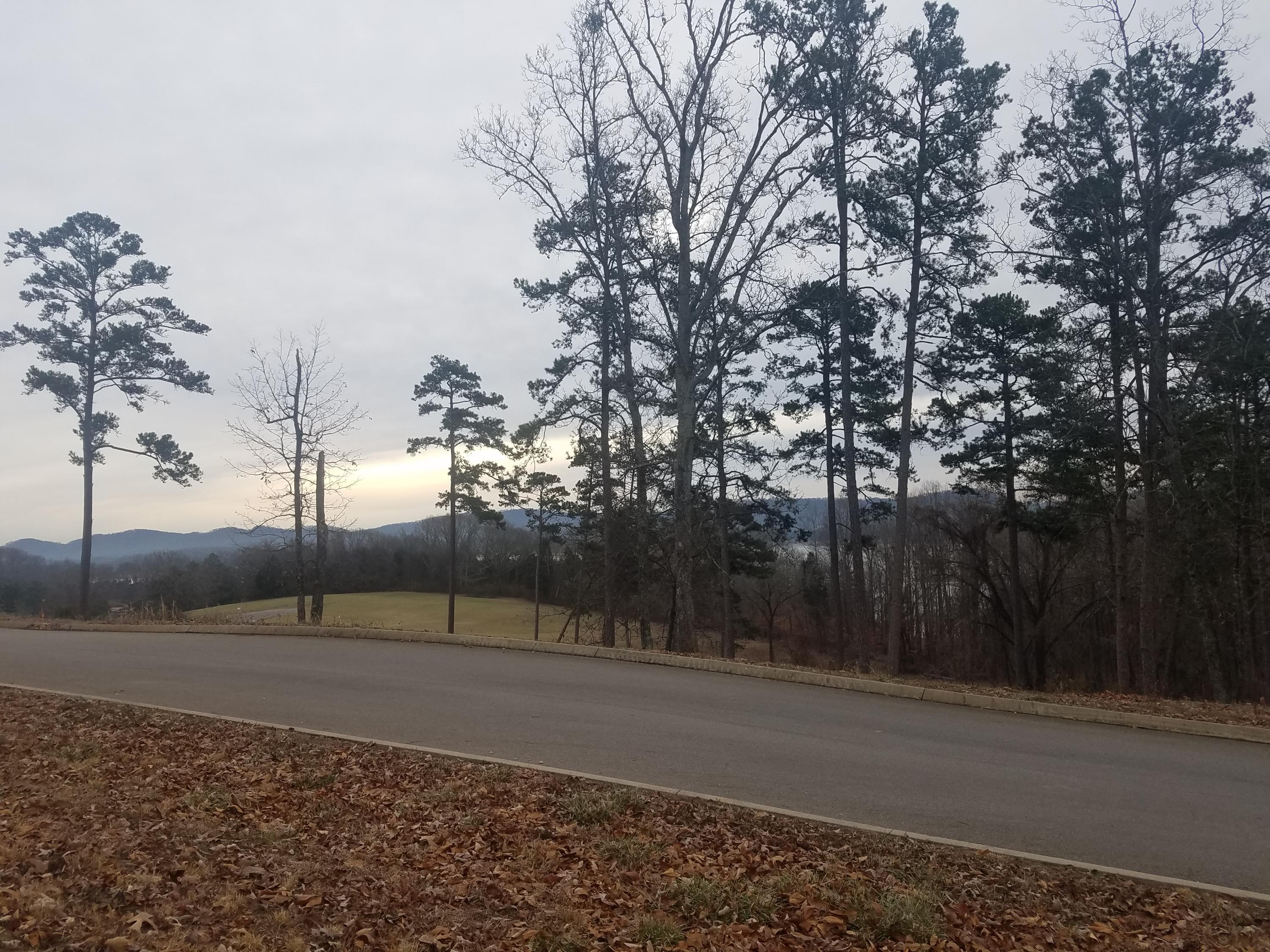 Lot 147 Cowpoke Lane Rutledge, TN 37861 - Photo 8 of 29 8