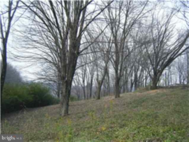 4645 Valley Road Shermans Dale, PA 17090 - Photo 7 of 10 Gallery Image 7