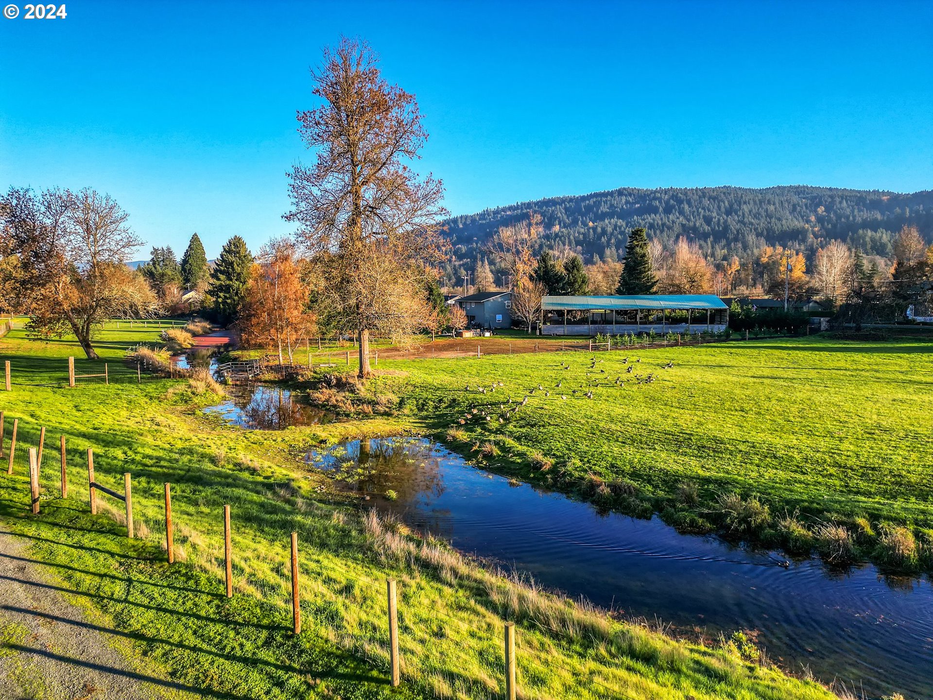 7346 Thurston Road Springfield, OR 97478 - Photo 41 of 48 Creek