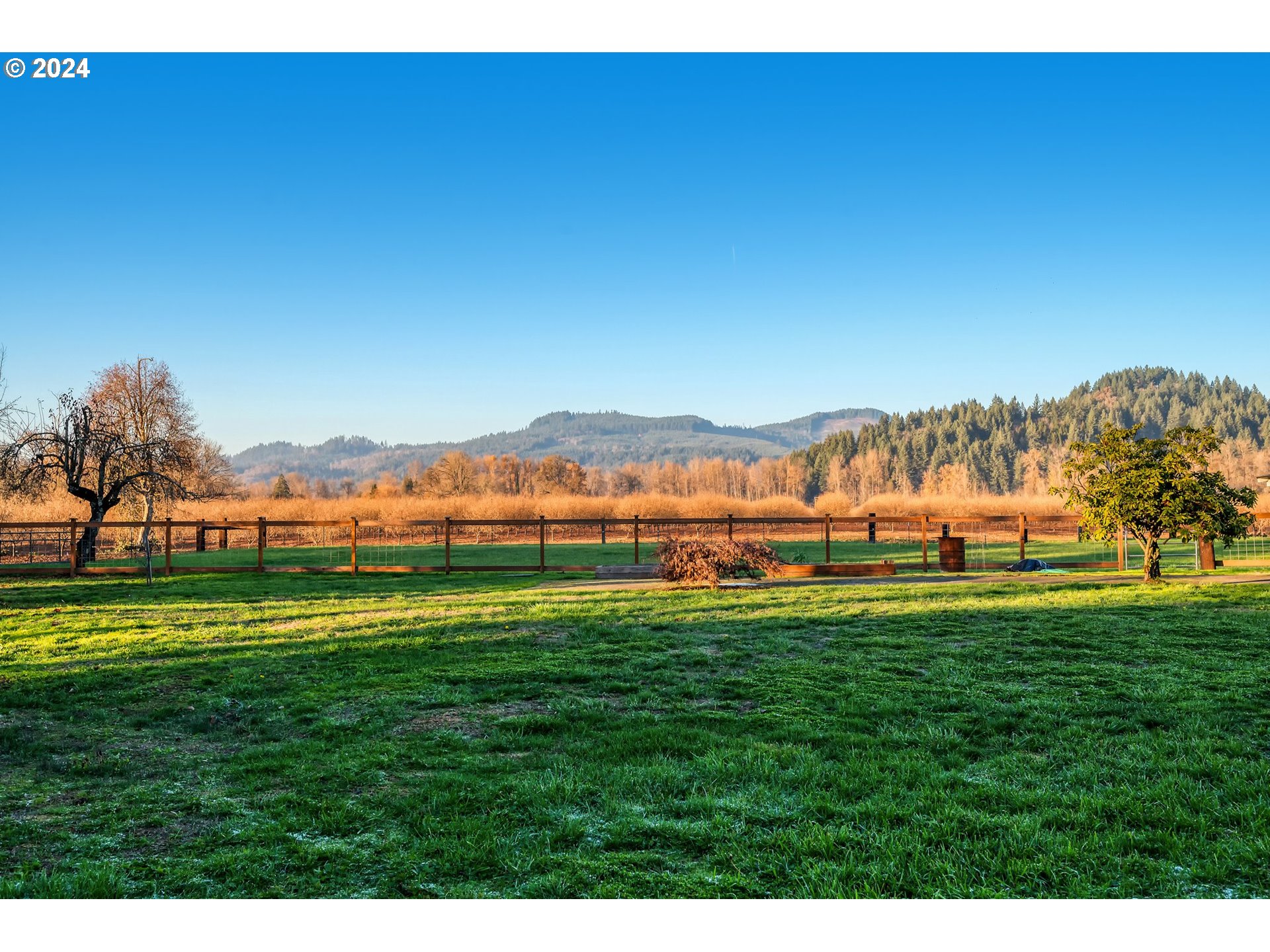 7346 Thurston Road Springfield, OR 97478 - Photo 46 of 48 Pasture