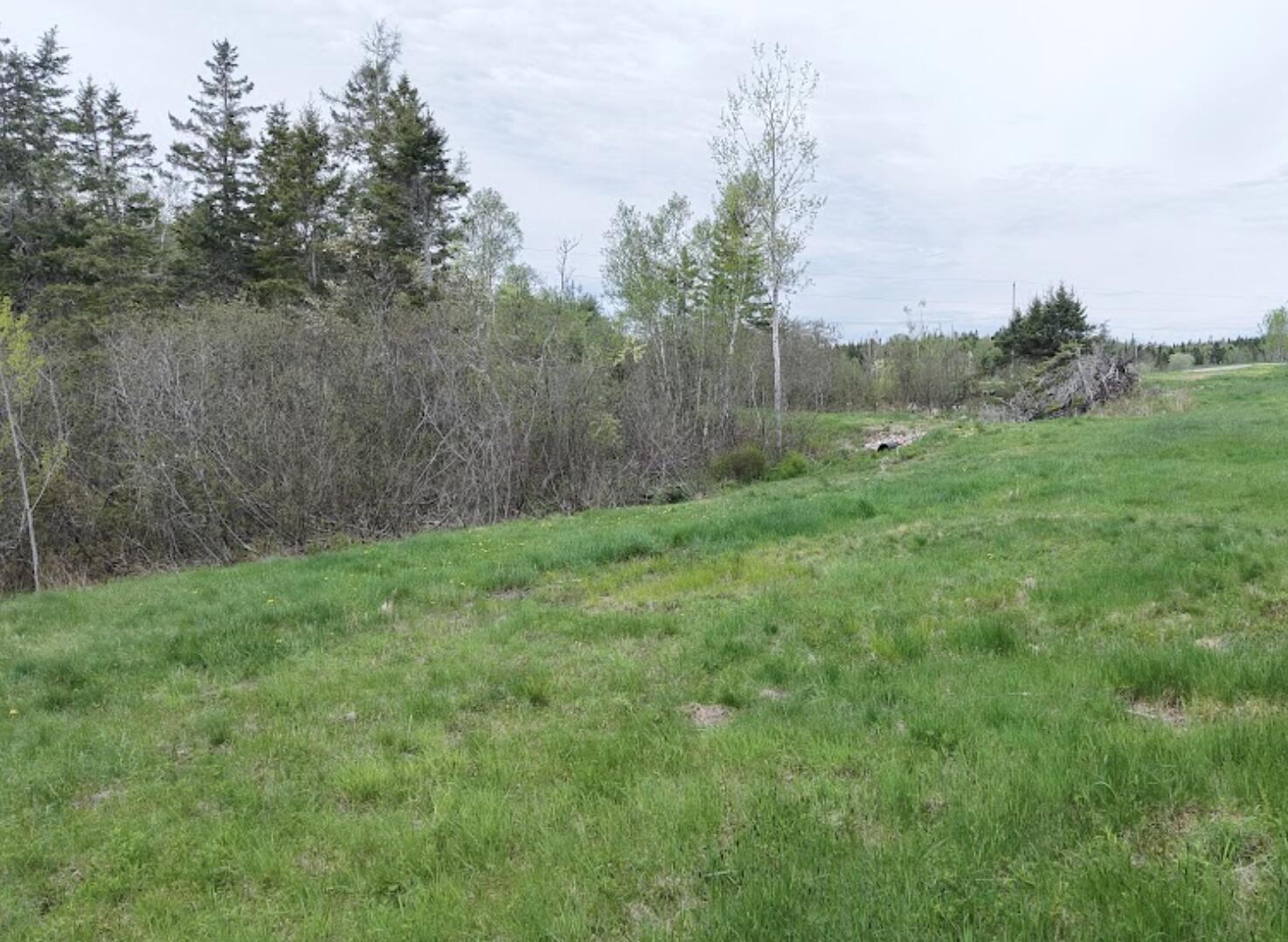 2 3 4 Birch Point Road Perry, ME 04667 - Photo 31 of 34 Birch Point Subdivision back toward gate