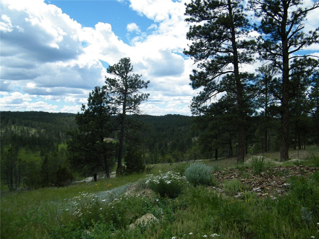 448 West Parrot Creek Road Roundup, MT 59072 - Photo 9 of 18 Gallery Image 9