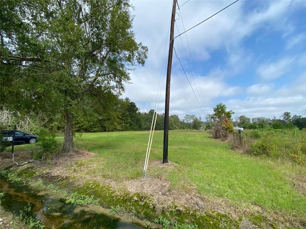 27431 Horseshoe Road Independence, LA 70443 - Photo 4 of 5 Gallery Image 4