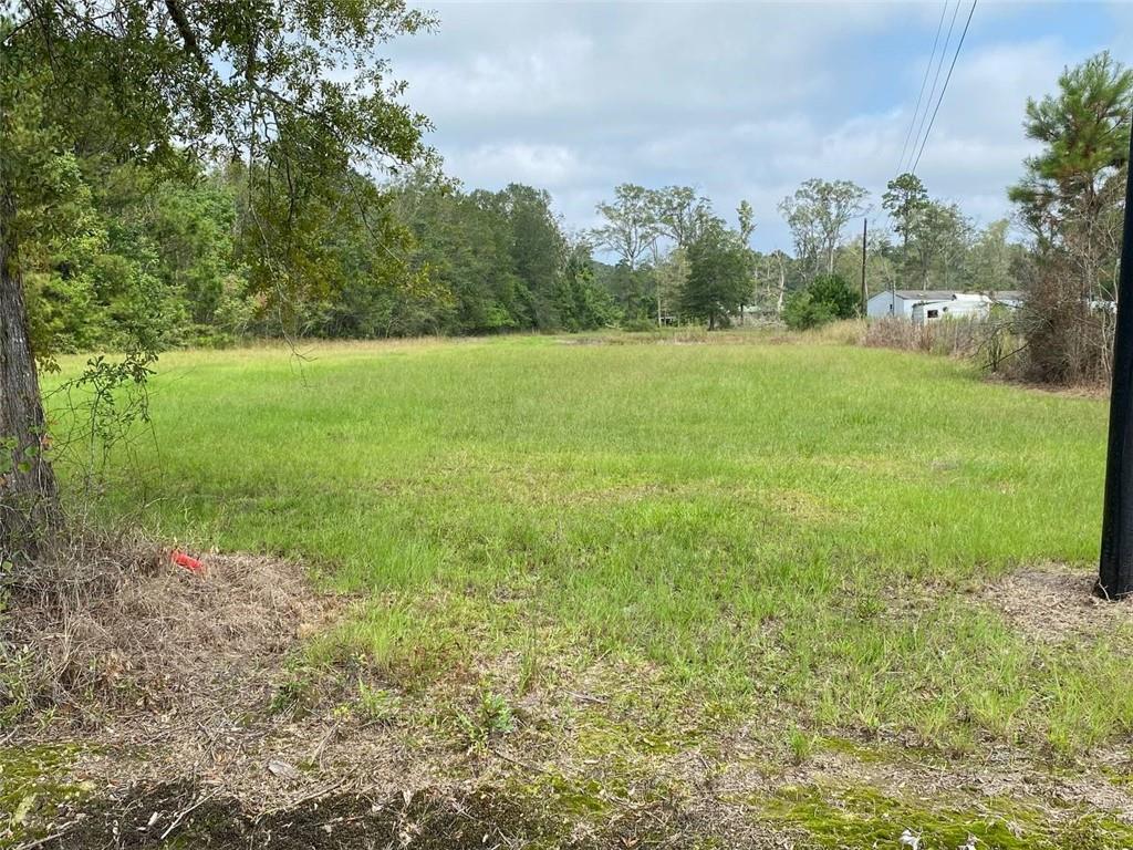 27431 Horseshoe Road Independence, LA 70443 - Photo 5 of 5 Gallery Image 5
