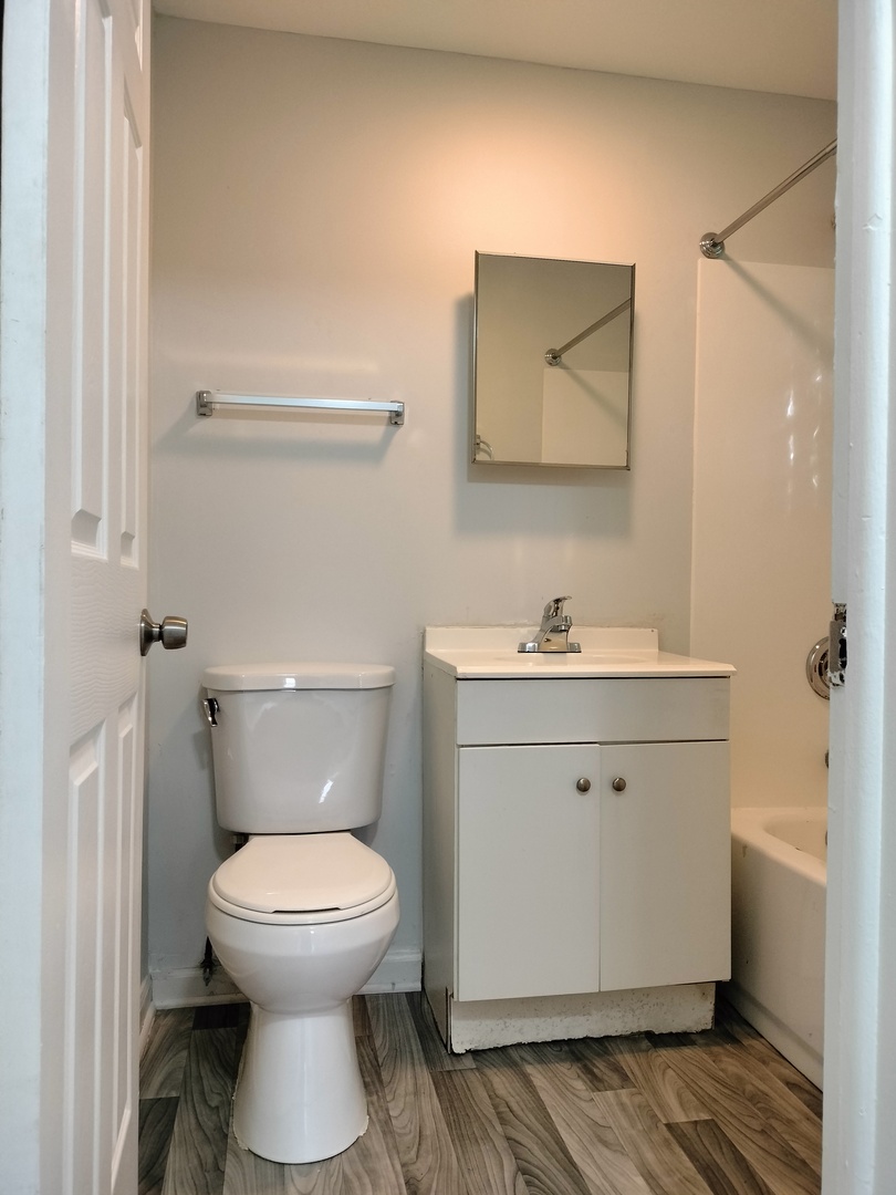 7910 South Muskegon Avenue, Unit 3 Chicago, IL 60617 - Photo 13 of 17 a bathroom with a toilet sink and mirror
