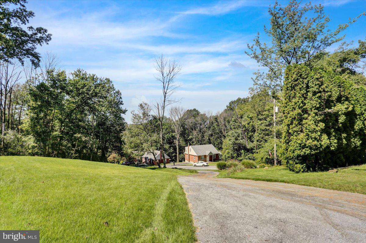 View down driveway 1