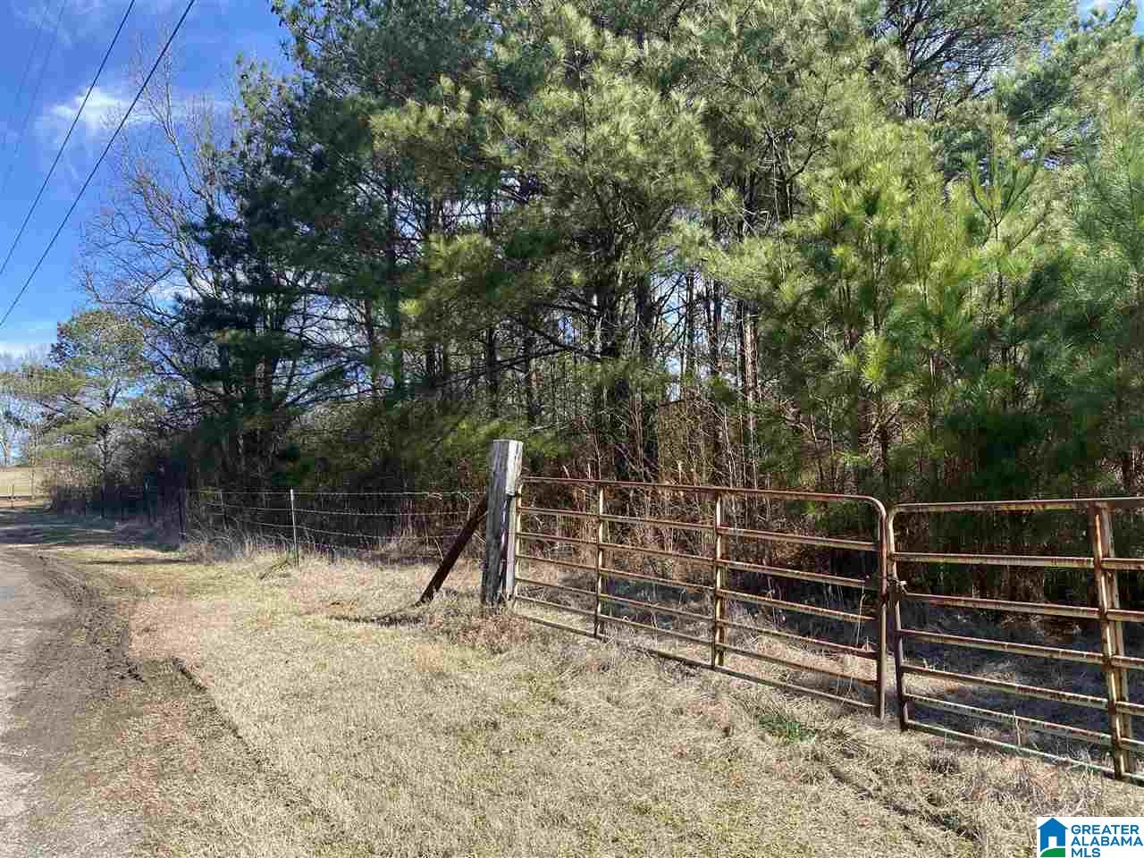 1560 Oren Miller Road, Unit 1 Warrior, AL 35180 - Photo 16 of 19