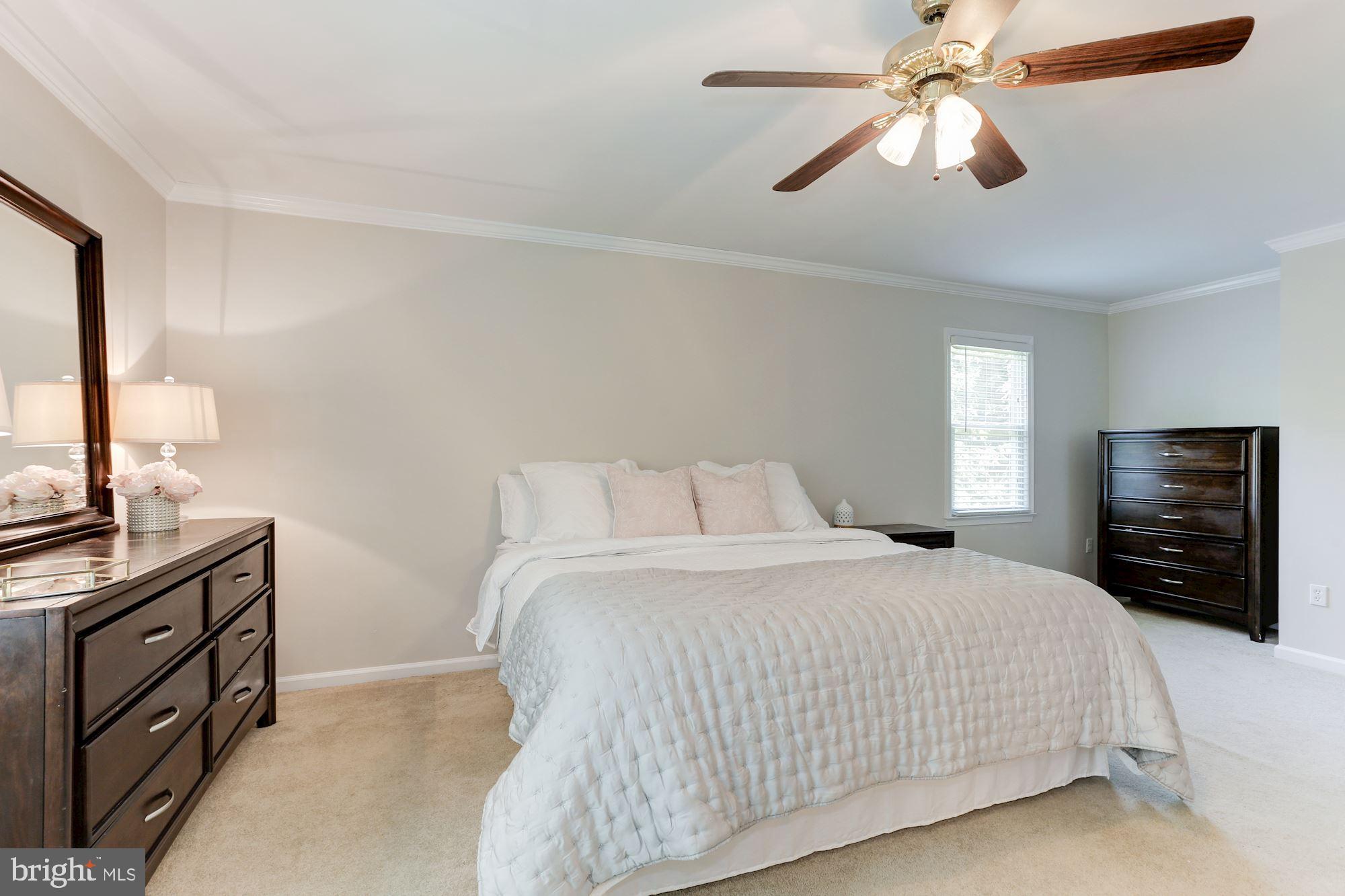 12335 Coleraine Court Reston, VA 20191 - Photo 30 of 84 Master Bedroom - Overhead Lighting