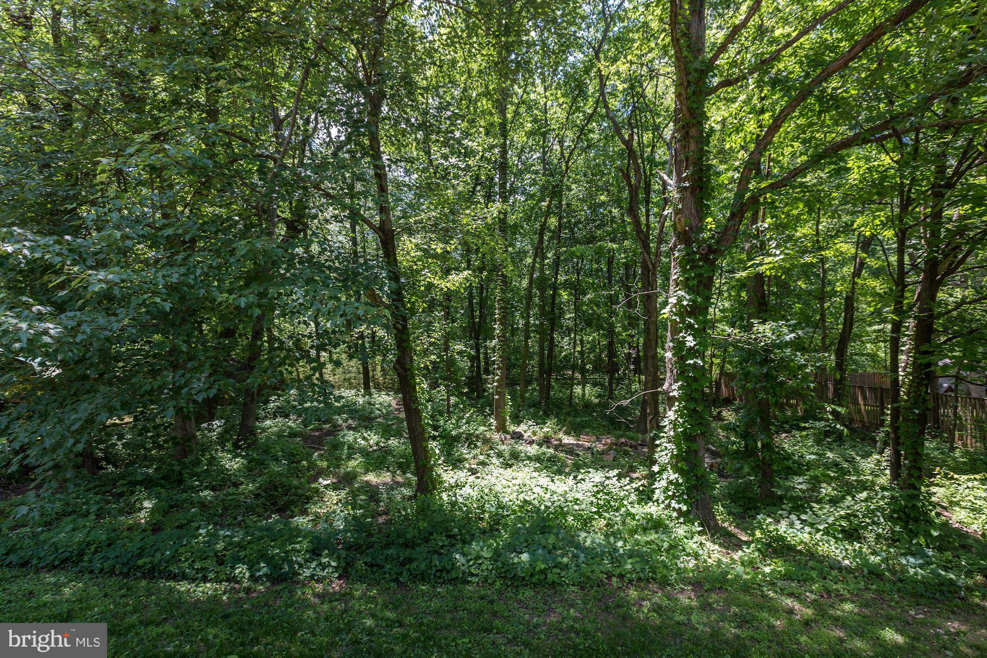 12335 Coleraine Court Reston, VA 20191 - Photo 60 of 84 Beautiful Tree & Wooded View