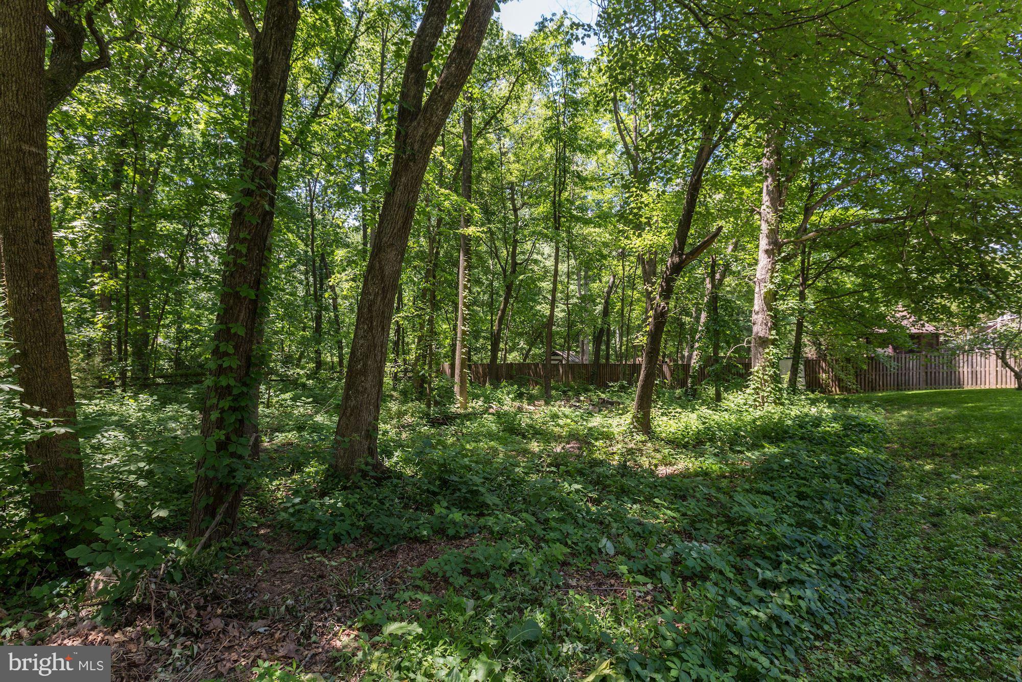 12335 Coleraine Court Reston, VA 20191 - Photo 61 of 84 Beautiful Tree & Wooded View