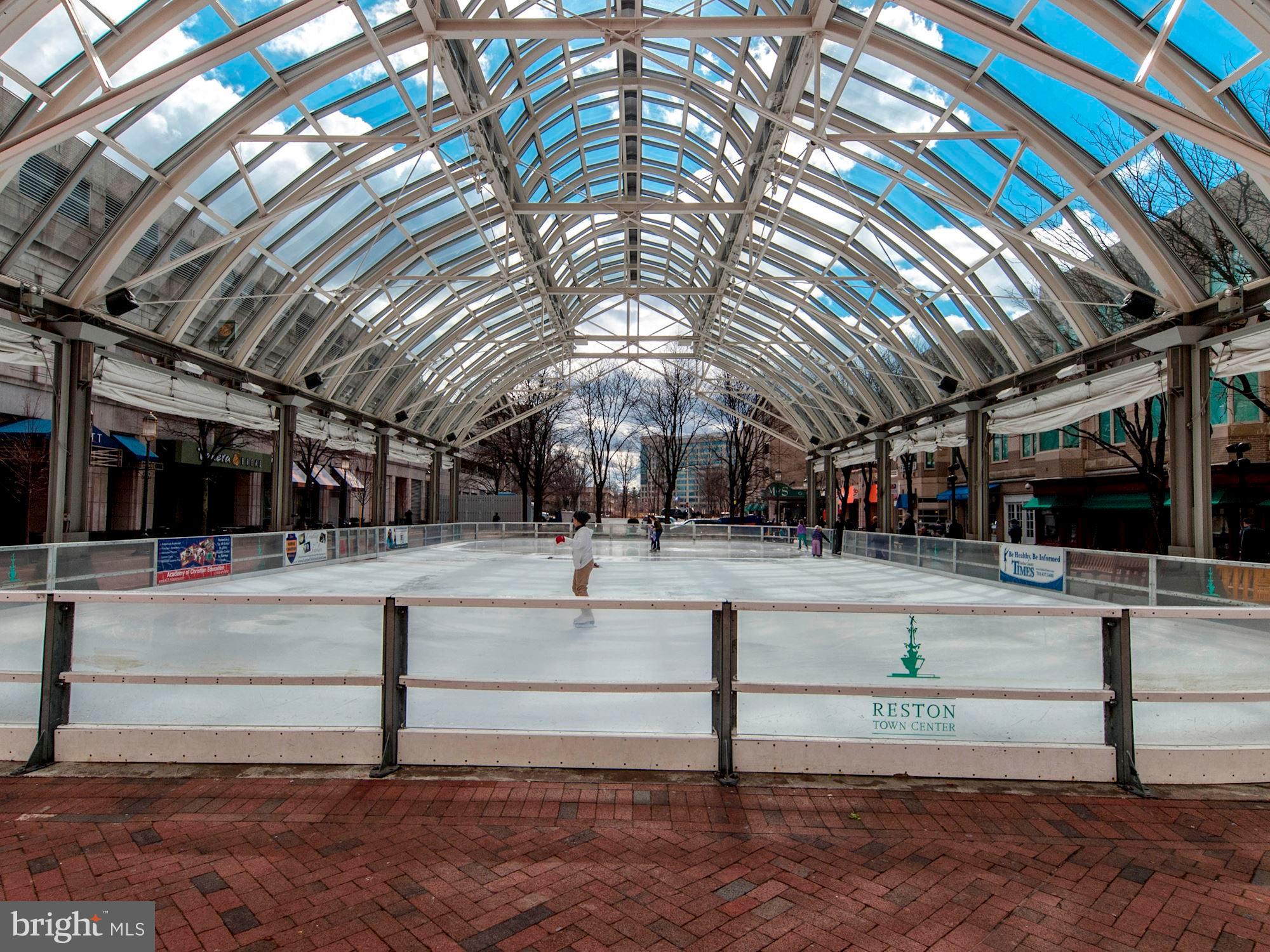 12335 Coleraine Court Reston, VA 20191 - Photo 66 of 84 Reston Town Center Ice Skating