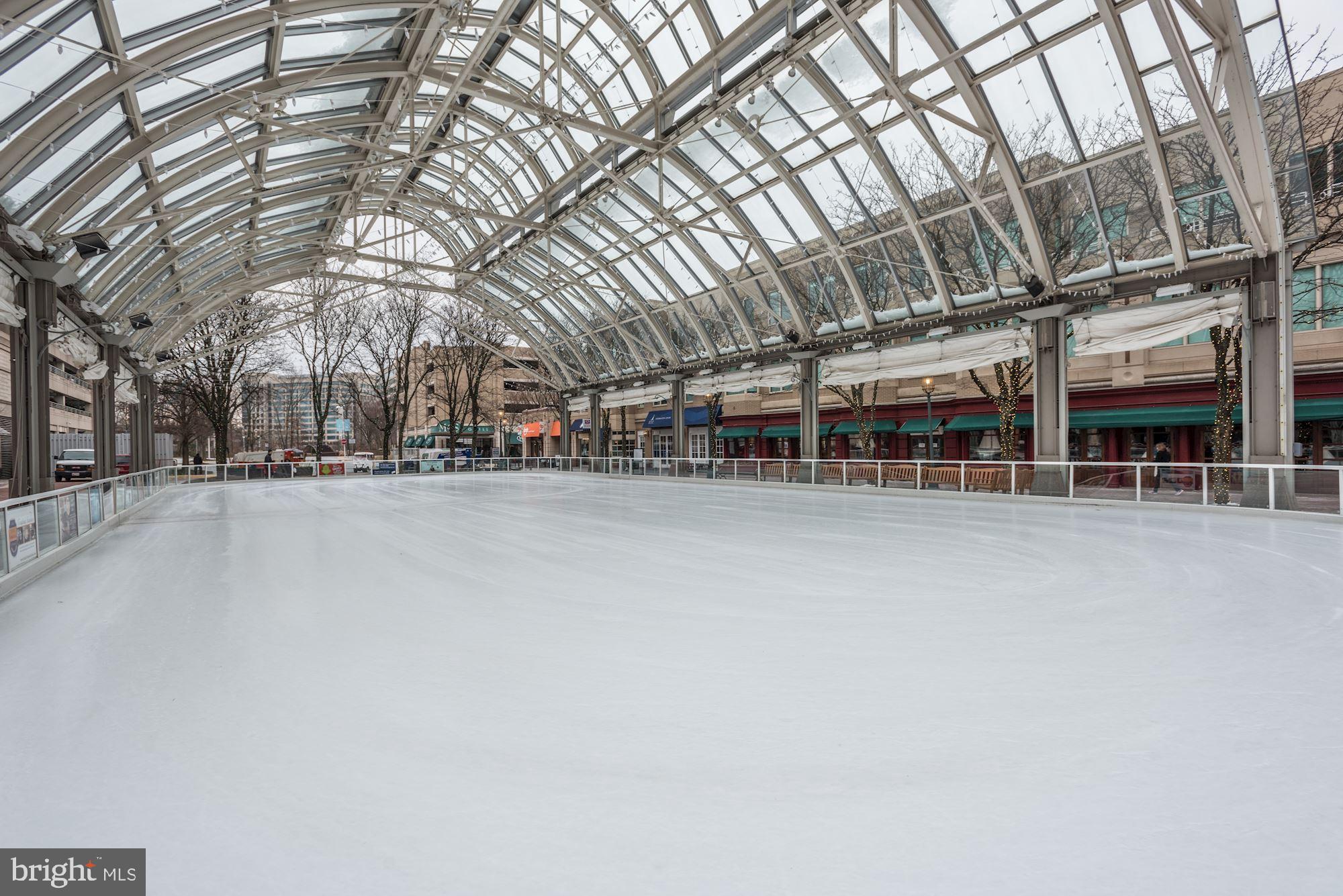 12335 Coleraine Court Reston, VA 20191 - Photo 67 of 84 Reston Town Center Ice Skating