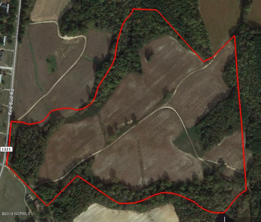 49 Red Bud Road Castalia, NC 27816 - Photo 1 of 36 Parrish 49 ac Nash Co