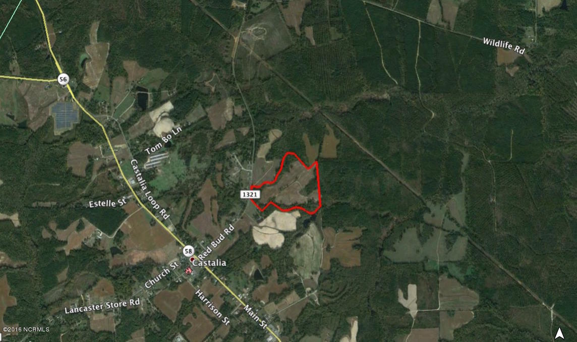 49 Red Bud Road Castalia, NC 27816 - Photo 2 of 36 Parrish 49 ac Expanded