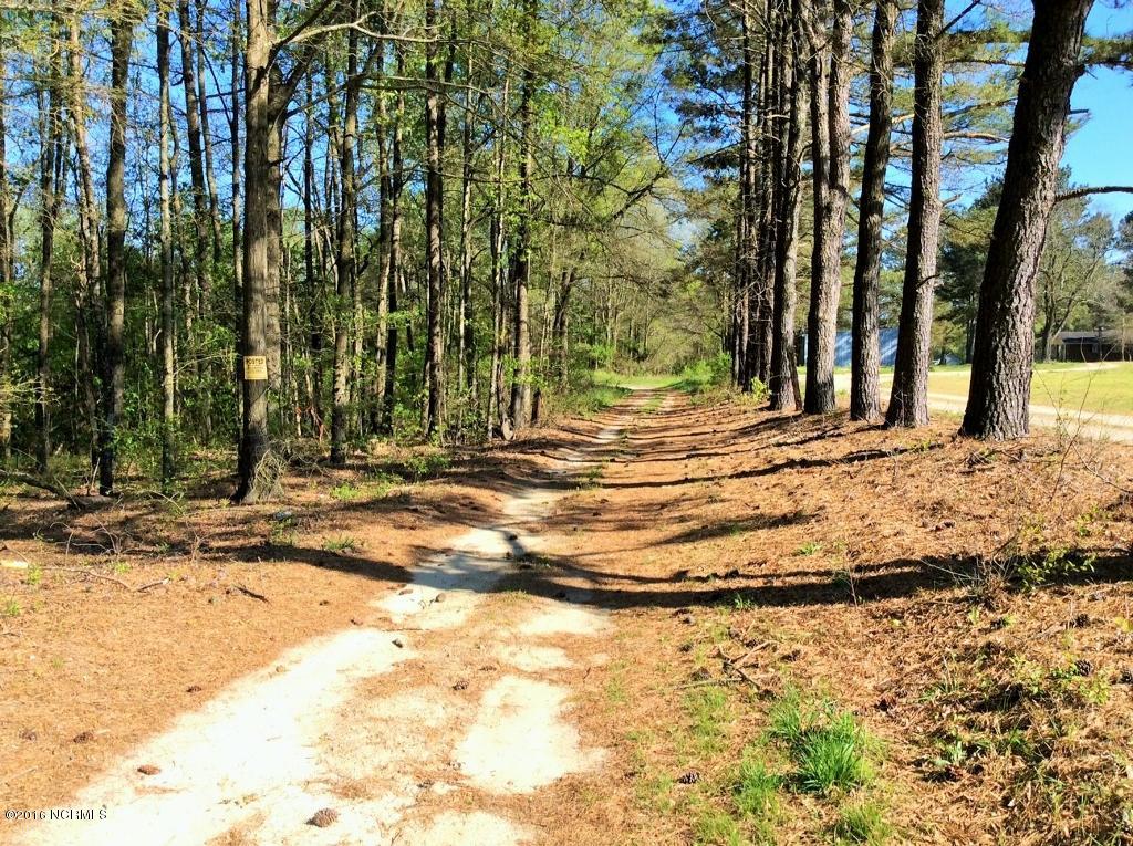 49 Red Bud Road Castalia, NC 27816 - Photo 31 of 36 36
