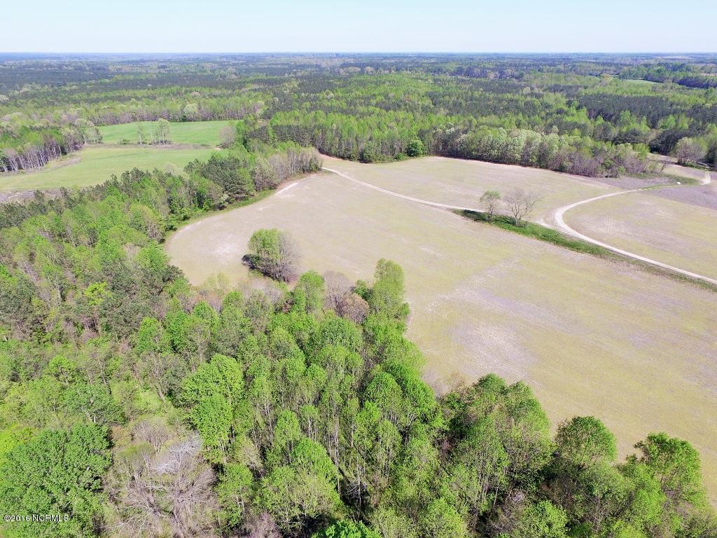 49 Red Bud Road Castalia, NC 27816 - Photo 5 of 36 3