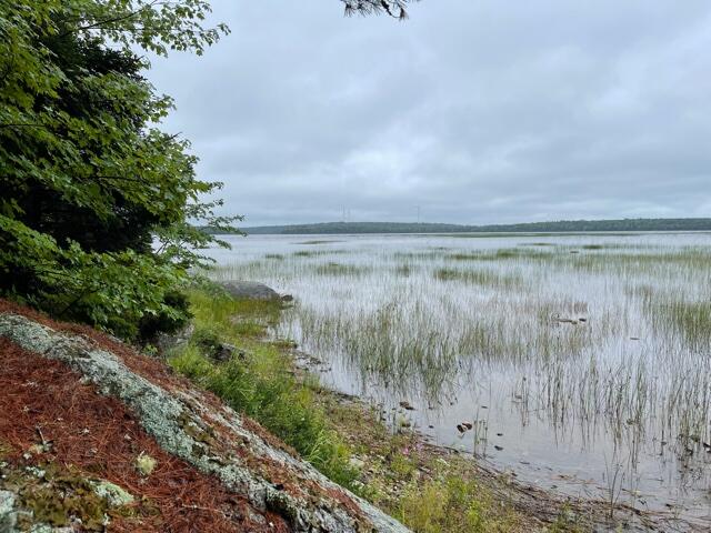 173 Spectacle Pond Road Ellsworth, ME 04605 - Photo 8 of 10 173 Spec Pic 8