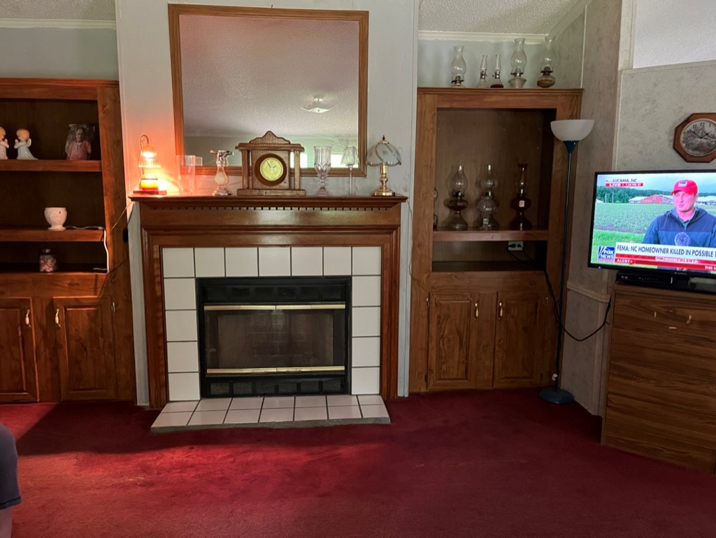 647 Sneed Branch Road Murphy, NC 28906 - Photo 12 of 38