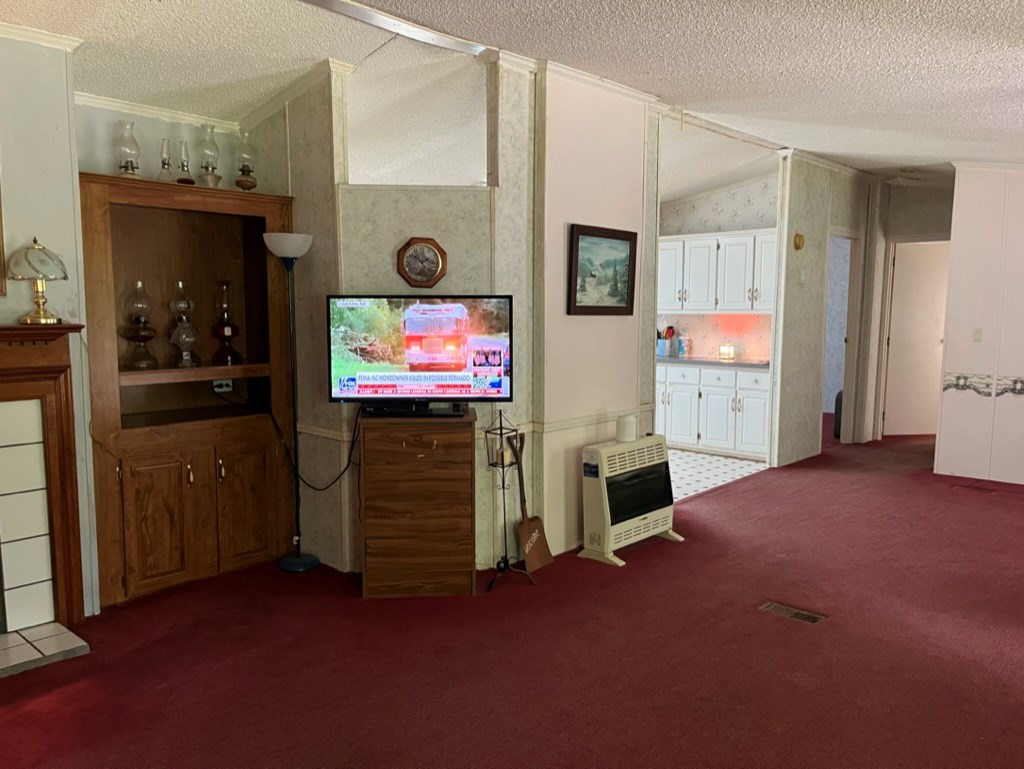 647 Sneed Branch Road Murphy, NC 28906 - Photo 13 of 38