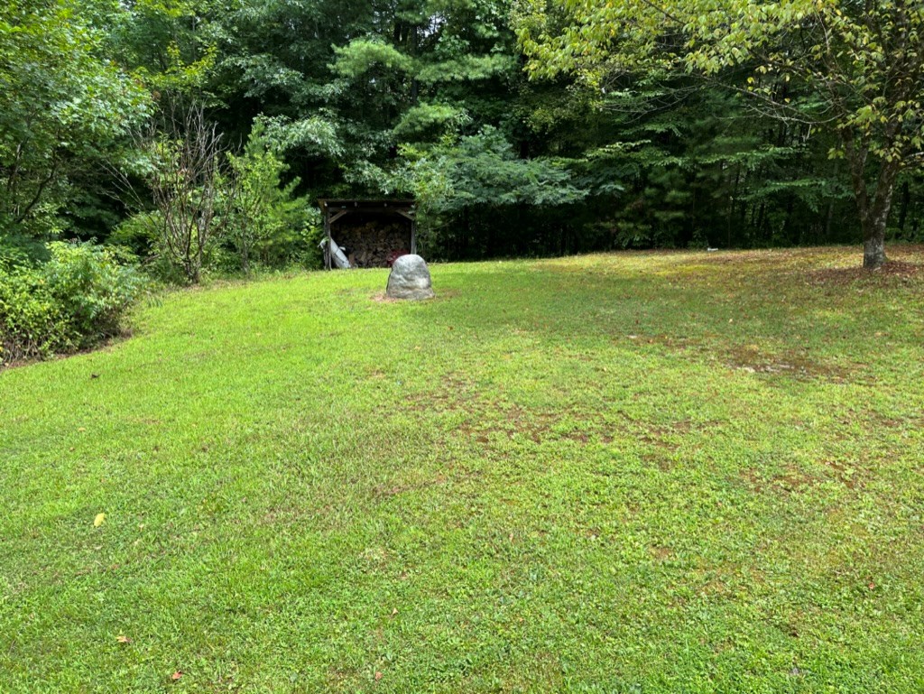 647 Sneed Branch Road Murphy, NC 28906 - Photo 3 of 38