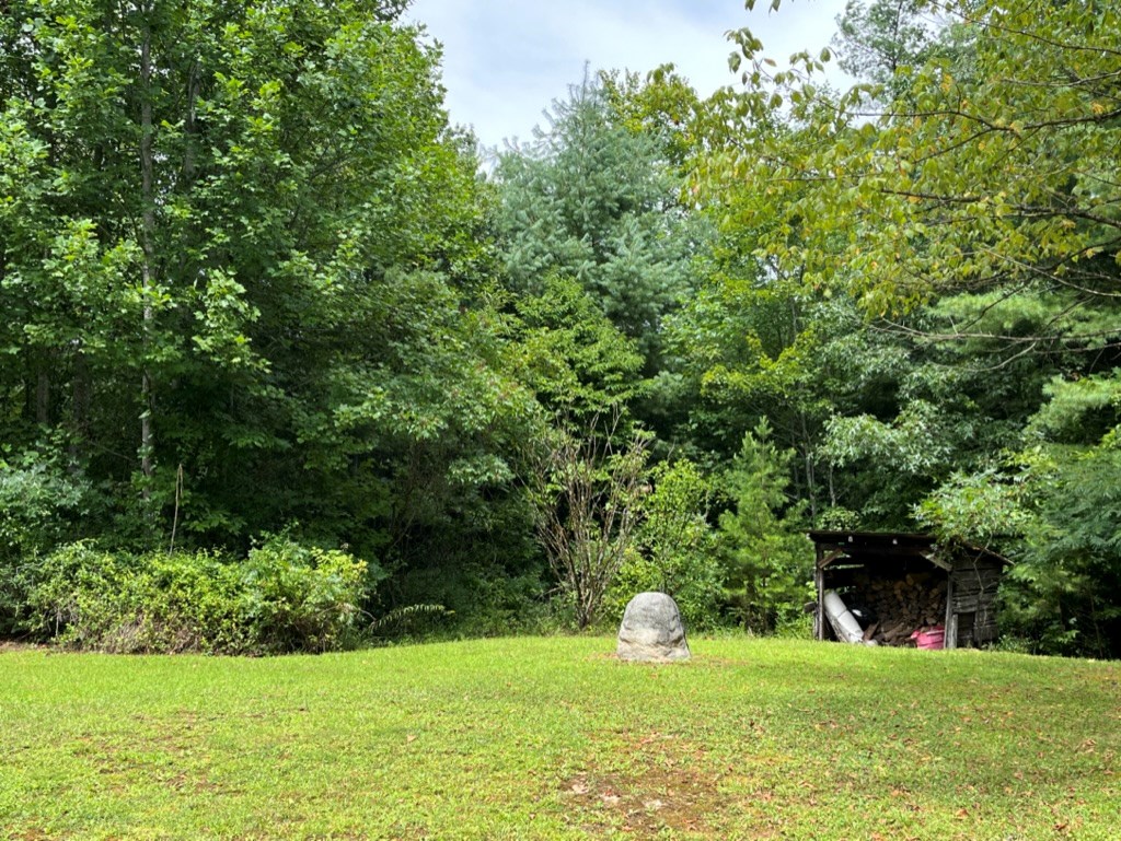 647 Sneed Branch Road Murphy, NC 28906 - Photo 6 of 38