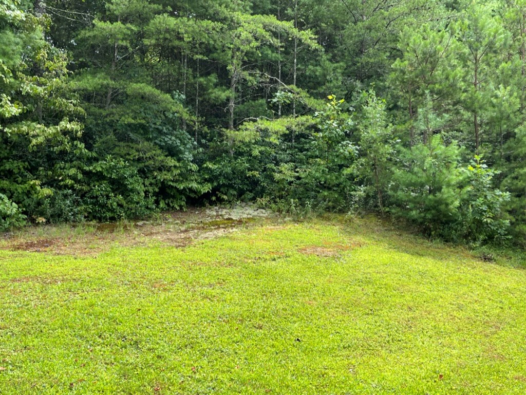 647 Sneed Branch Road Murphy, NC 28906 - Photo 7 of 38