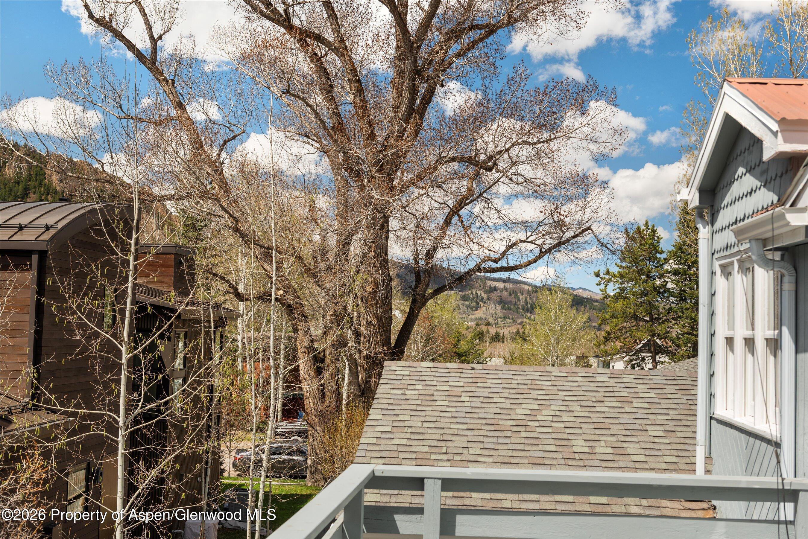 53 Spruce Street, Unit S 1 AND 2 Aspen, CO 81611 - Photo 61 of 67 32-32-536SpruceSt_250429032
