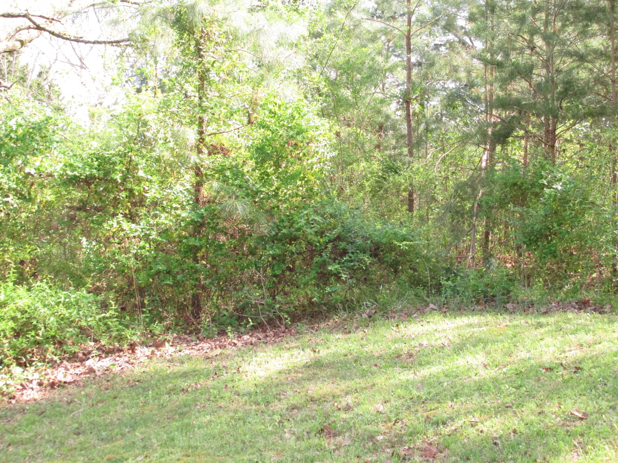 160 Thompson Road Pikeville, TN 37367 - Photo 23 of 33 Gallery Image 23