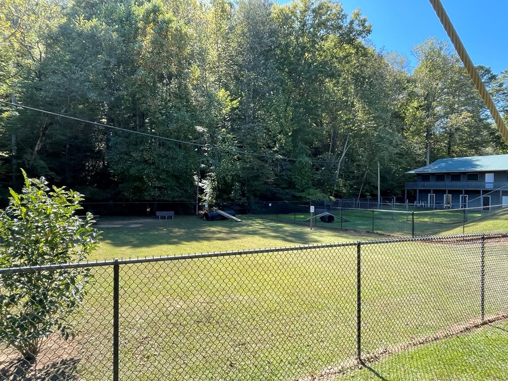 30 Gothic Court Ellijay, GA 30540 - Photo 49 of 59 Community Dog Park