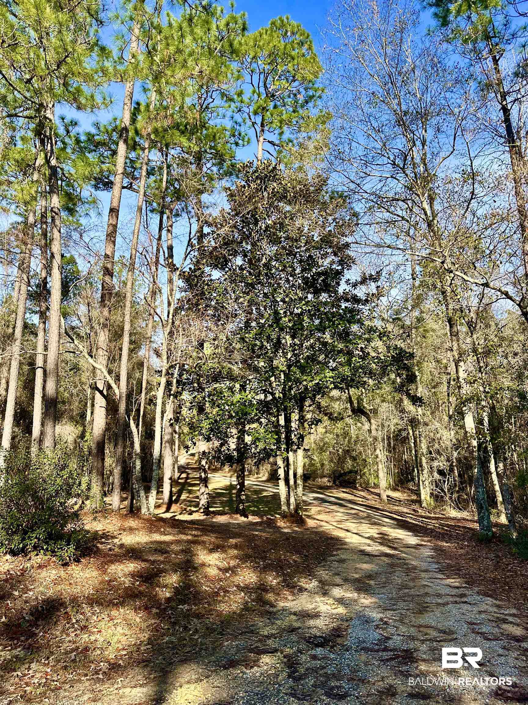 3881 Old Atmore Road Flomaton, AL 36441 - Photo 19 of 22 View of nature