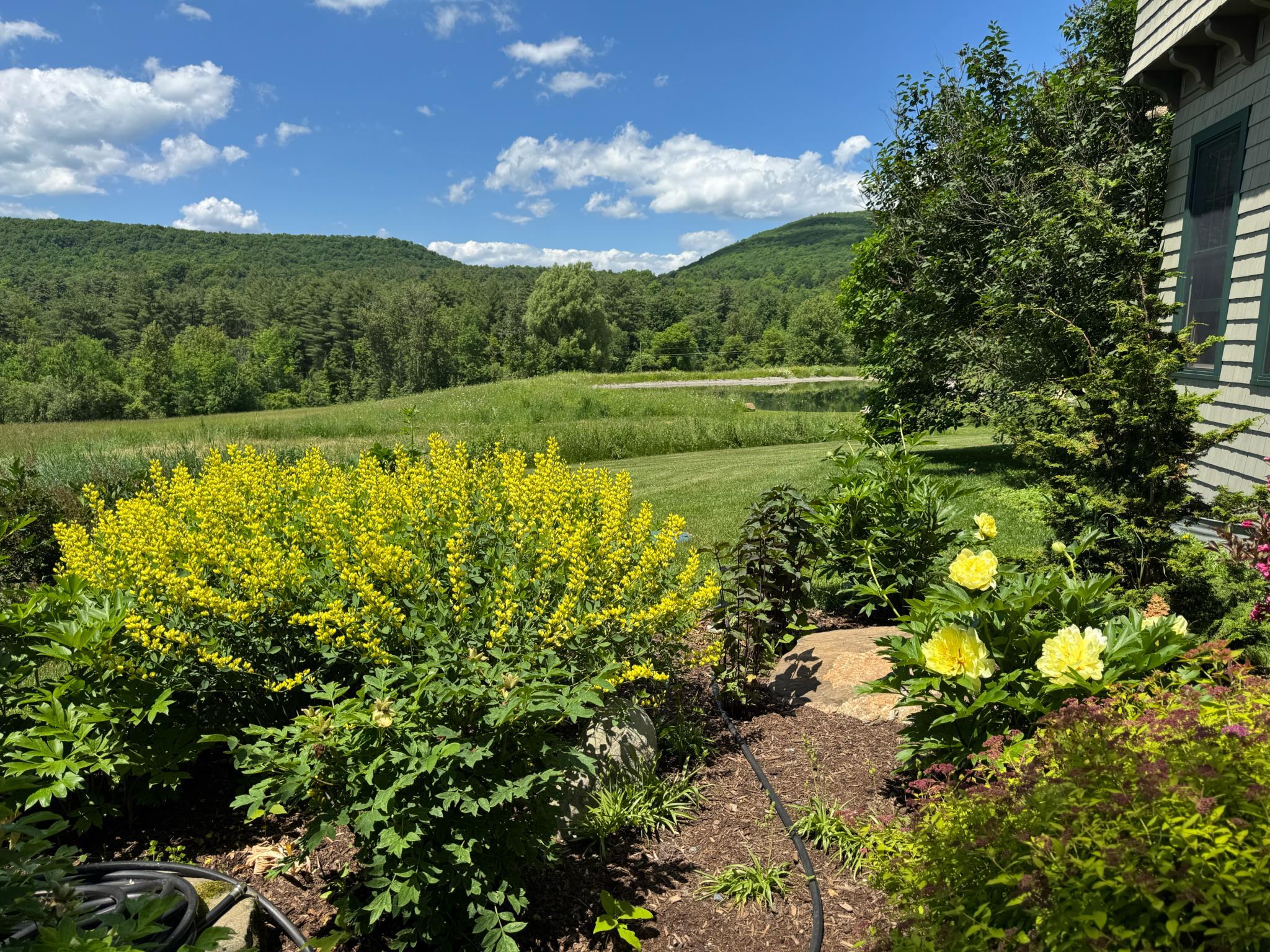 229 Piney Woods Road Monkton, VT 05443 - Photo 9 of 59 Gallery Image 9