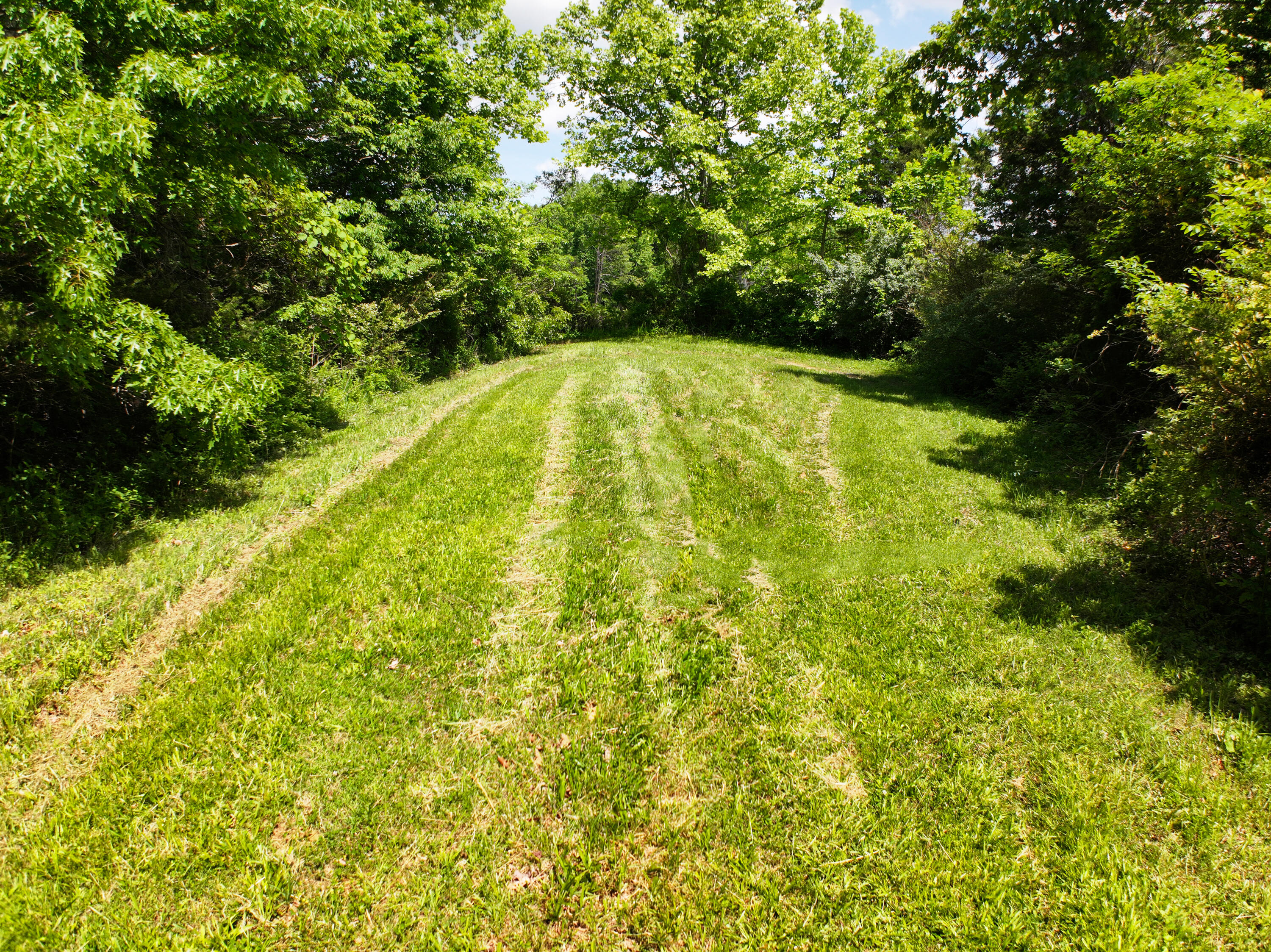 382 Opossum Run Road Irvine, KY 40336 - Photo 70 of 75 Trails!