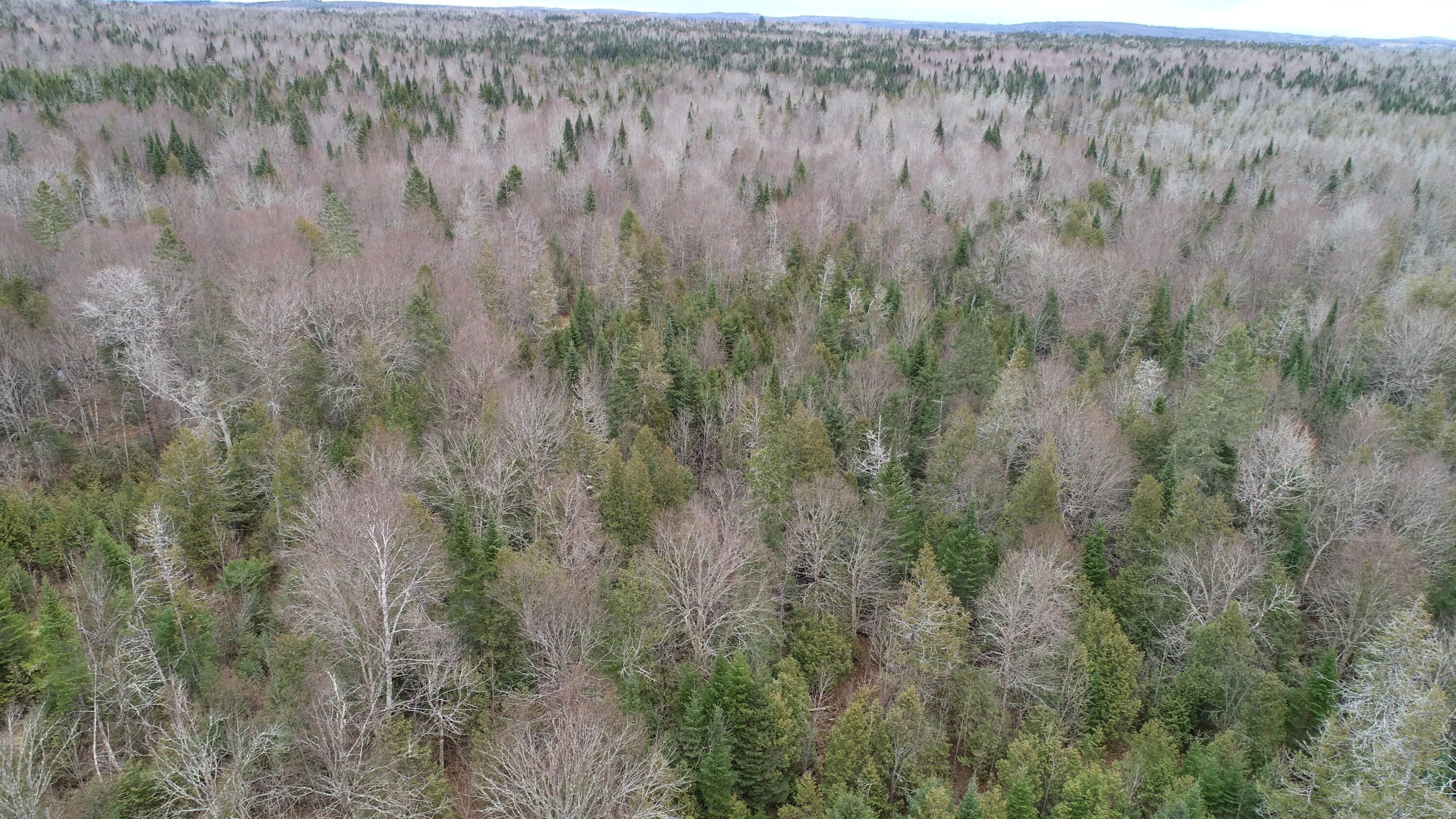 Lot 2 Off Bangor Road Houlton, ME 04730 - Photo 32 of 44 DJI_0353