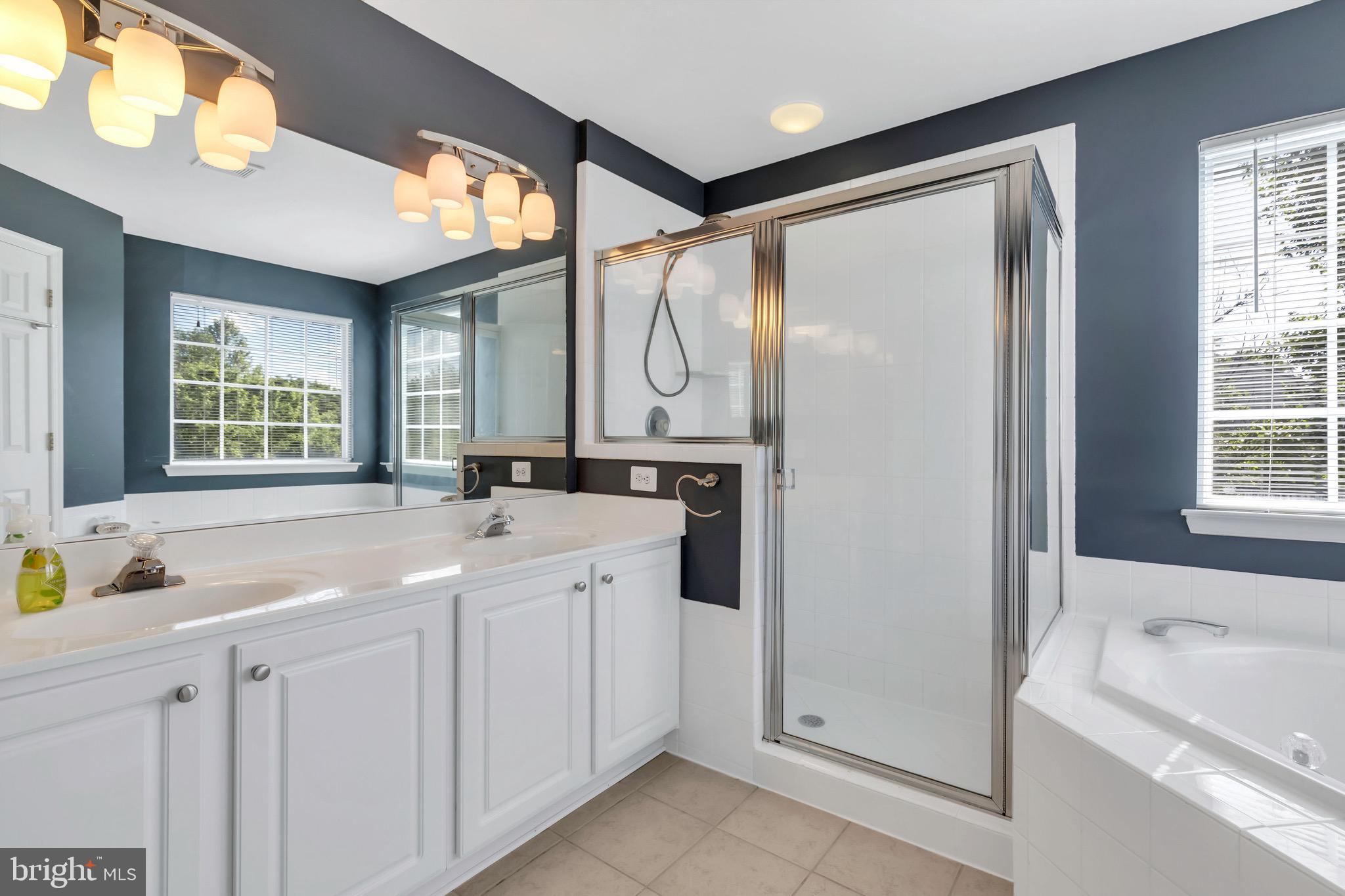 43173 Riders Square Ashburn, VA 20148 - Photo 20 of 35 Double vanities and large shower