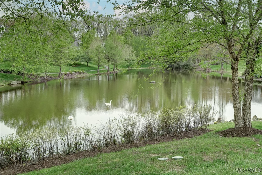 709 Chiswick Park Road Henrico, VA 23229 - Photo 46 of 47 Water view featuring a forest