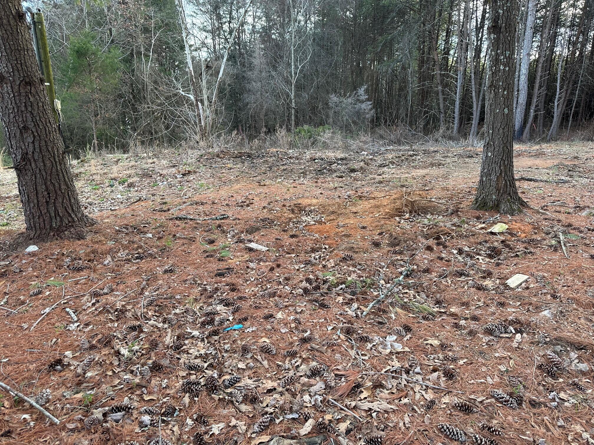 1285 Dyer Road Evensville, TN 37332 - Photo 22 of 24 IMG_5397