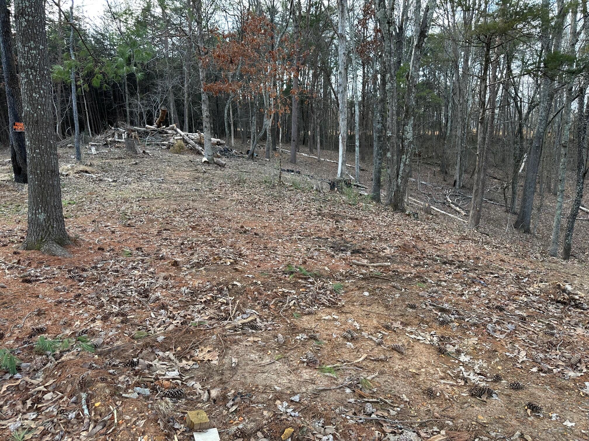 1285 Dyer Road Evensville, TN 37332 - Photo 23 of 24 IMG_5396